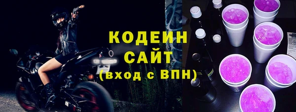 индика Верхний Тагил