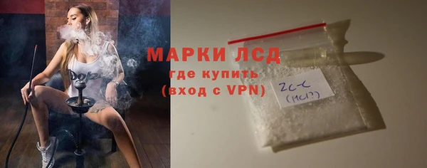 индика Верхний Тагил