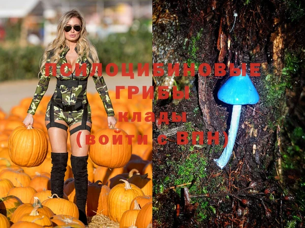 прущая мука Вязники