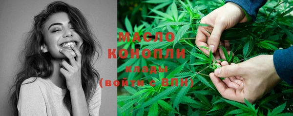 индика Верхний Тагил