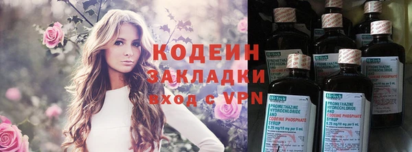 индика Верхний Тагил