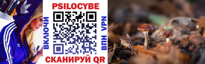 Псилоцибиновые грибы Psilocybine cubensis  Завитинск 